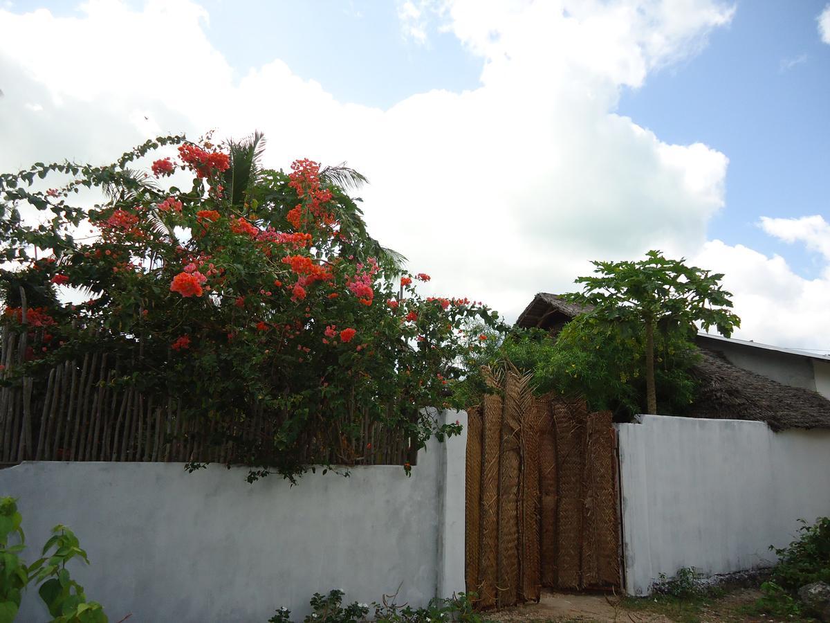 Jambiani Home Stay מראה חיצוני תמונה